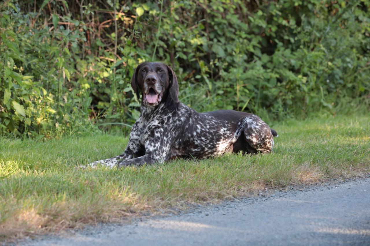 Relais De Chasse La Chaignaie Saint-Hilaire-de-Loulay Eksteriør billede